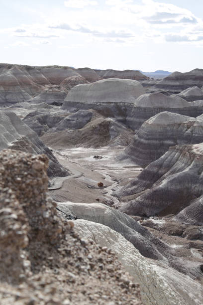 istock Blue Mesa Trailhead in Petrified Forest National Park 1288191598