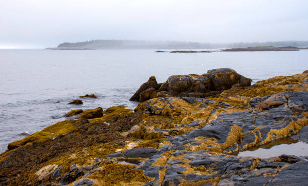 istock Lanes Island in Fog 1288193013