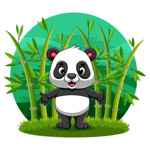 The little panda standing the bamboo field in the jungle with the happy The illustration of the little panda standing the bamboo field in the jungle with the happy chinese panda stock illustrations