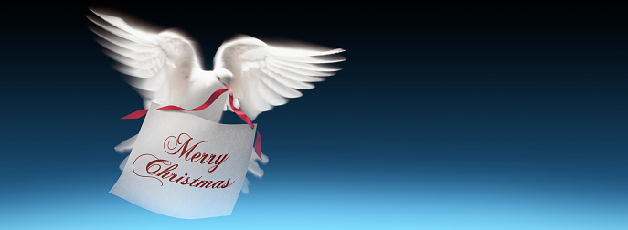 White doves of peace carrying message of Merry Christmas