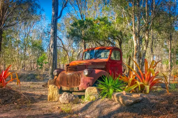 Photo of Rusty old farm truck in bushland garden