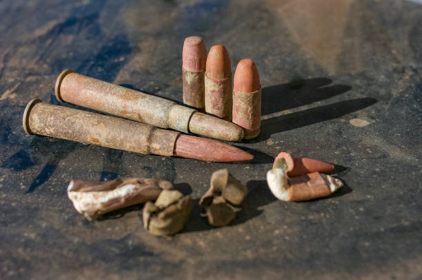 Rediscovered ammunition buried and forgotten by time many years ago along an unused military practice shooting range now overgrown and reclaimed bye nature