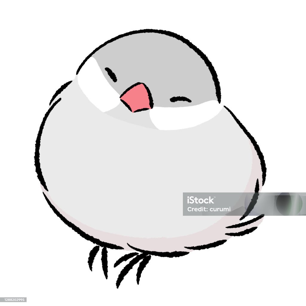 Sleepy Java Sparrow Stock Illustration - Download Image Now - Bird ...