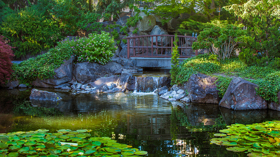 Japanese garden with bridge above a waterfall and pond that is home to Koi. Image can be utilized editorially or commercially.