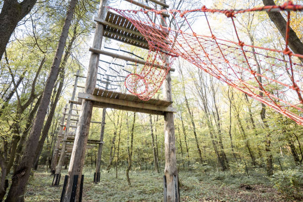 istock Rope park in the forest 1288207326