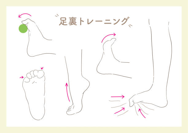 Acupoints on the soles of the feet_2 Acupoints on the soles of the feet_2 qi gong stock illustrations