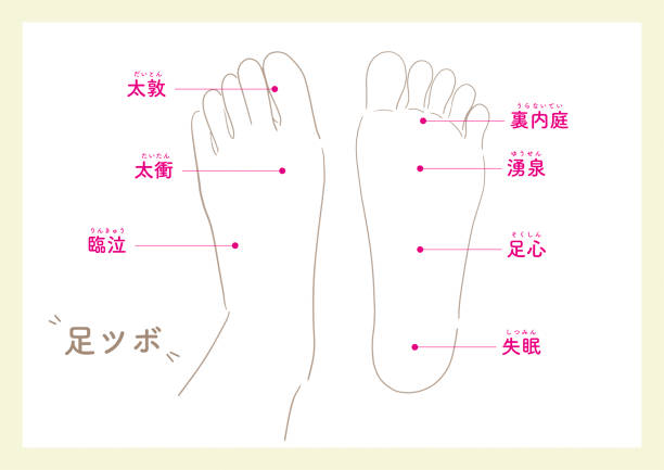 feet_5の足裏のアクポイント - acupoints点のイラスト素材／クリップアート素材／マンガ素材／アイコン素材