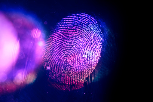Close up beautiful abstract violet, red colored fingerprint on  background texture for design. Macro photography view.