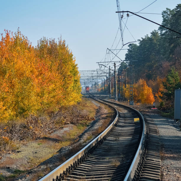 istock The railway passes through a beautiful autumn forest with colorful trees. 1288219648