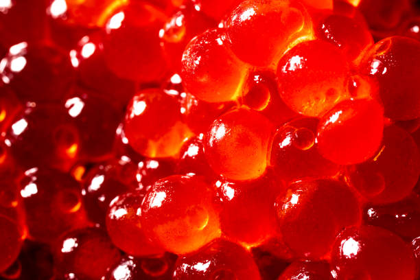 istock red caviar , macro shot , focus on a center 1288219850