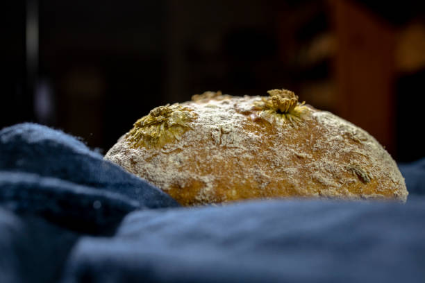 istock artisan bread, made with chrysanthemum tea 1288220912