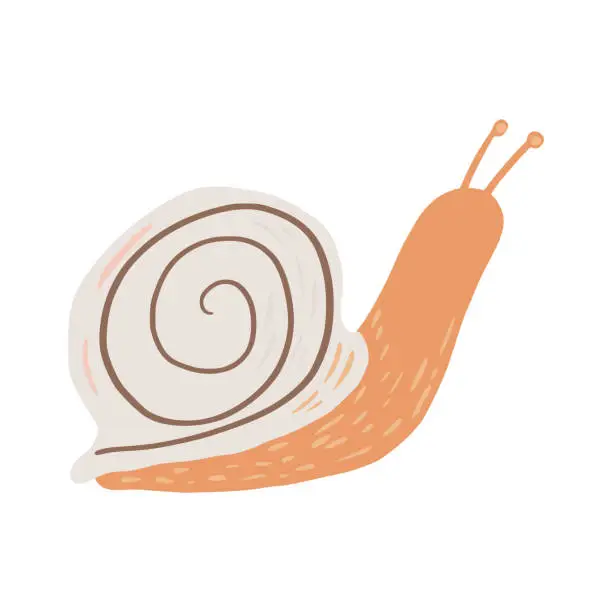 Vector illustration of Snail isolated on white background. Funny cartoon character in doodle style