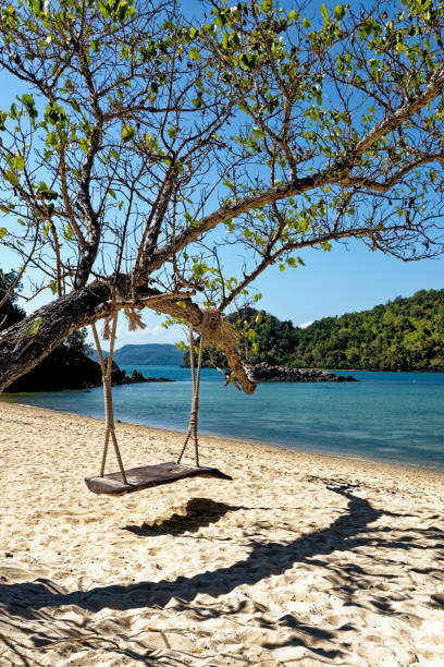 istock Wooden swing hang under tree at the beach 1288223974