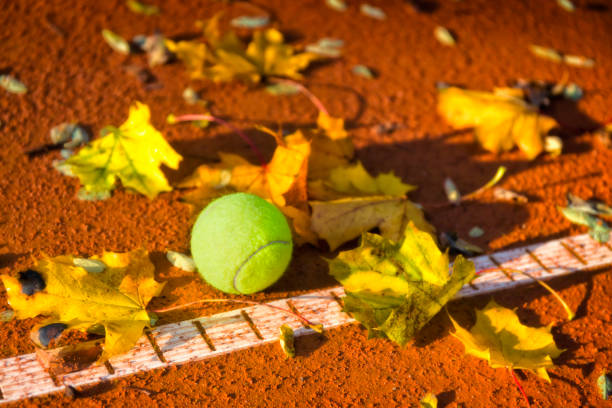 Fall on the clay tennis court
