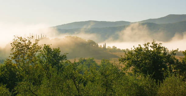 istock Dawn Mist in Tuscany 1288234327