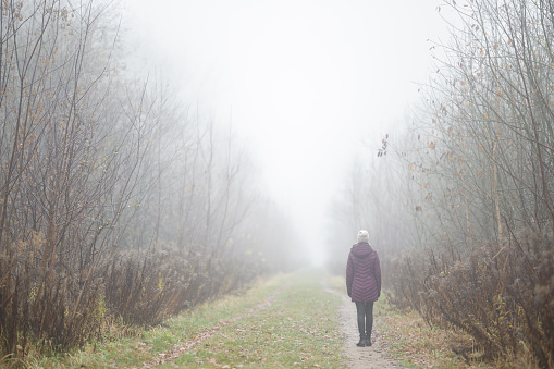 One young adult woman in dark warm clothes walking on natural trail. Cold overcast foggy autumn day. Spending time alone in nature. Back view.
