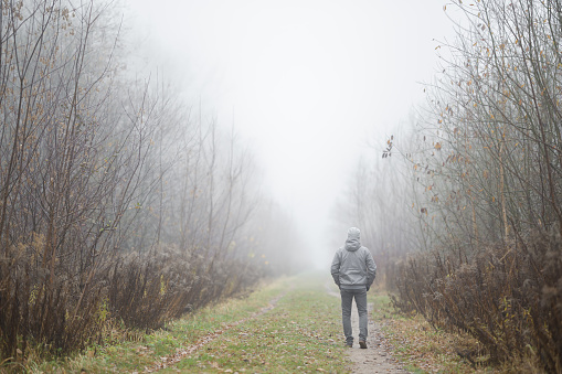 One young adult man in gray warm clothes walking on natural trail. Cold overcast foggy autumn day. Spending time alone in nature. Back view.