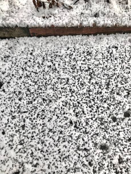 istock Birds tracks in the snow 1288236701