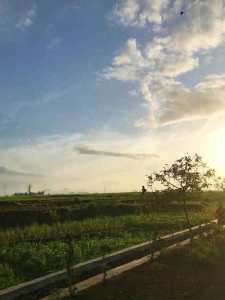 istock Atmosphere in the morning 1288236838