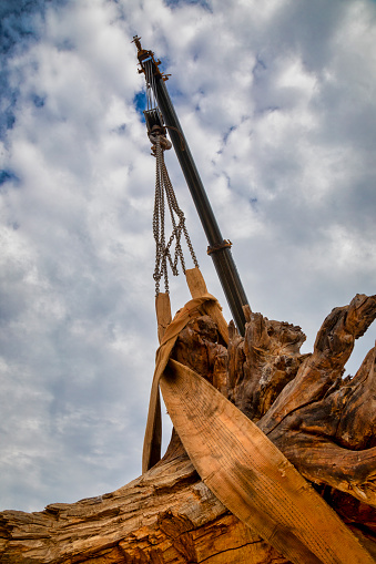 grúa industrial levantando una enorme raíz de madera photo