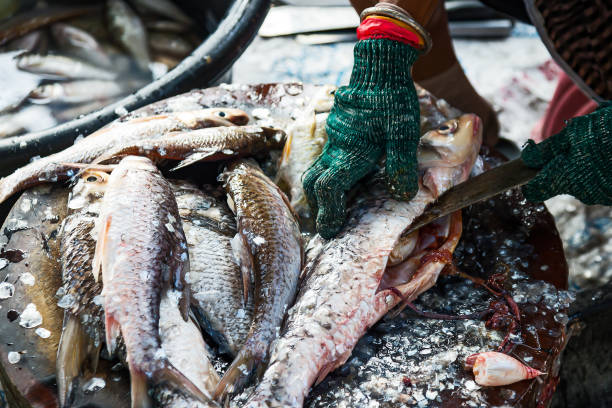 istock close-up of a worker Cleaning fish on a board 1288240921