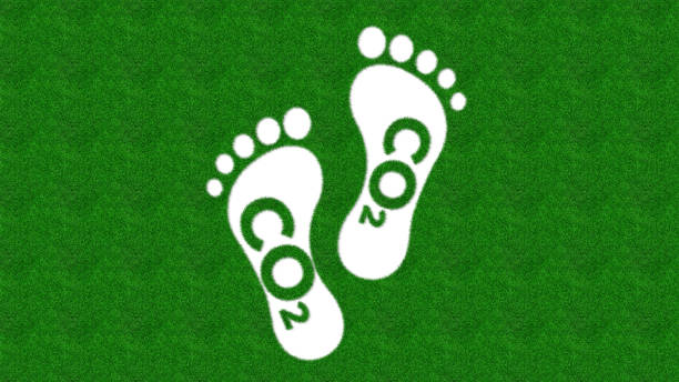 green carbon footprint symbol - recycling carbon footprint footprint sustainable resources stock-fotos und bilder
