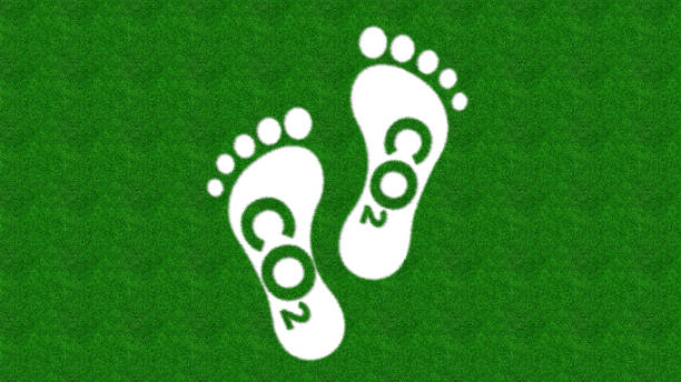 Green Carbon Footprint Symbol