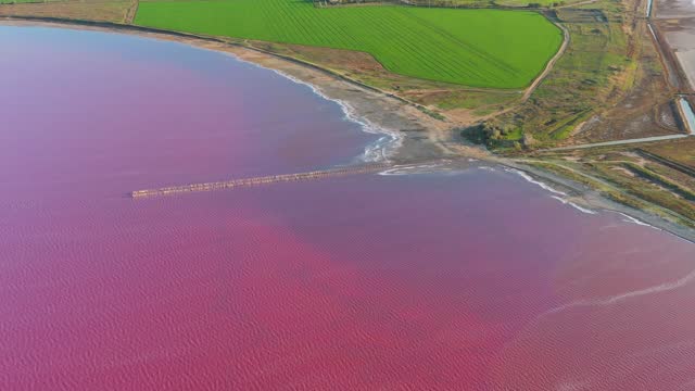 High angle flying above pink salt lake toward green coastline field