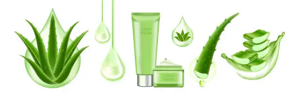 Vector illustration of Aloe Vera collagen and Serum for skin Care Cosmetic vector illustration.