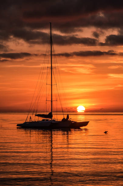 tramonto sul mare - subic foto e immagini stock