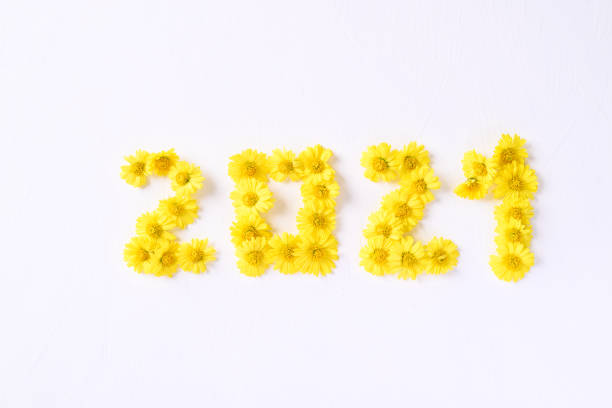 istock 2021 new year made from yellow Chrysanthemum flower 1288249622