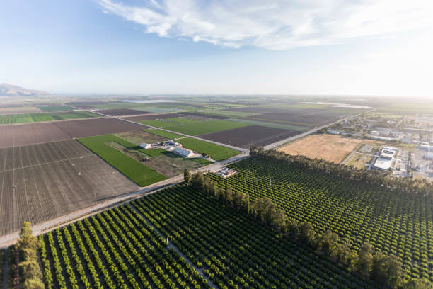 istock Ventura County Farm Fields Aerial 1288249745