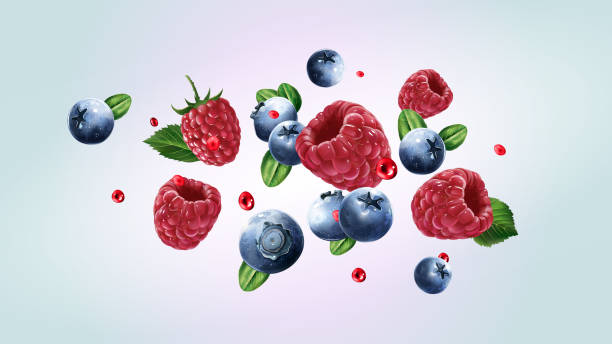 illustrazioni stock, clip art, cartoni animati e icone di tendenza di lamponi e mirtilli volano con gocce di succo. - exploding juicy liquid energy