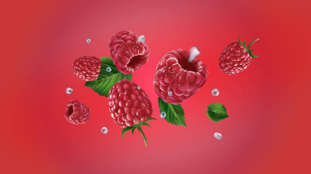 illustrazioni stock, clip art, cartoni animati e icone di tendenza di lamponi e gocce d'acqua che volano su uno sfondo rosso. - exploding juicy liquid energy