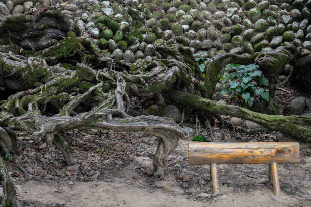 istock Wooden chairs in the park. 1288251937