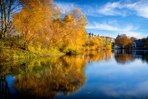 Sunny autumn day at Rusalka pond in public park in Szczecin, Poland