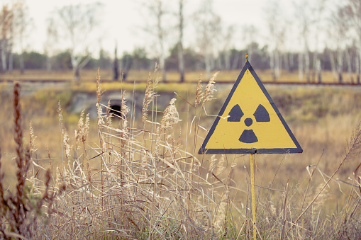 Ionizing Radiation sign next to Red Forest in Chernobyl Nuclear Power Plant Zone of Alienation, Ukraine 2020 year