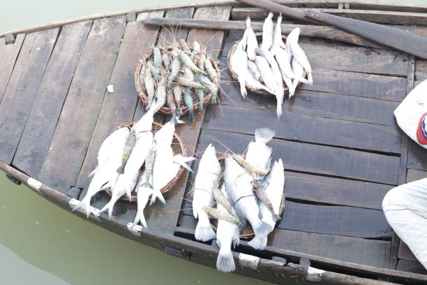istock Fish market in the river 1288254500