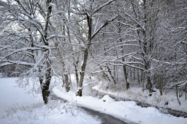 śnieg zimowy las boże narodzenie zimowy wonderland zachód słońca - winter lake snow water zdjęcia i obrazy z banku zdjęć