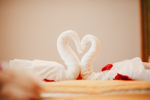 Beautiful Romantic Honeymoon Hotel Suite WithTwo towel swans kissing each other on the bed, their heads form a heart. Rose pedals all around