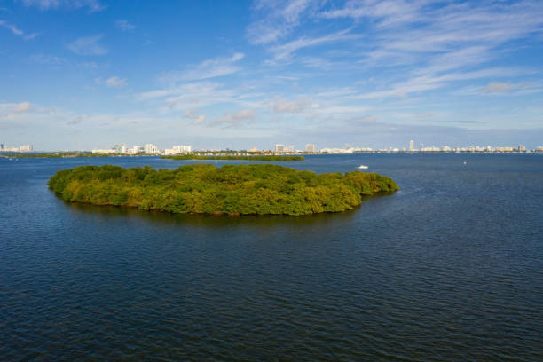 istock Mangrove islands Miami Biscayne Bay 1288261232