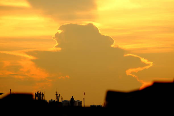 Sunlight which is creating a fascinating scenery