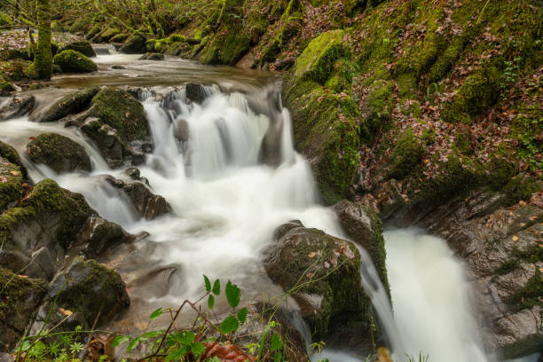 istock Watersmeet in Exmoor National Park 1288262274