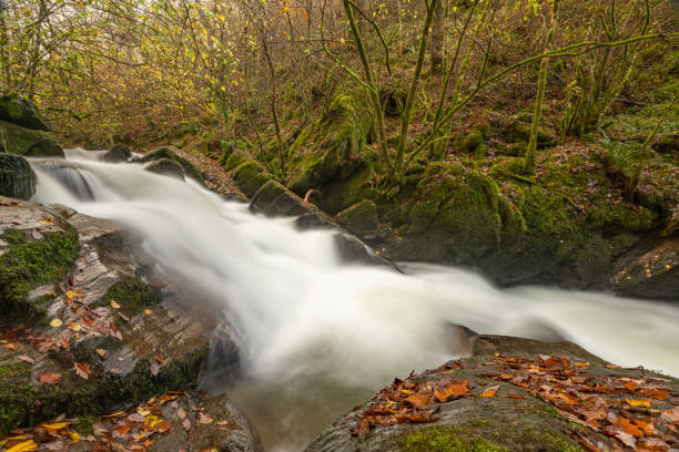 istock Watersmeet in Exmoor National Park 1288262315