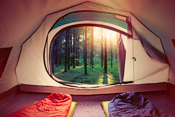 istock Forest and sunset seen from the tent 1288262420