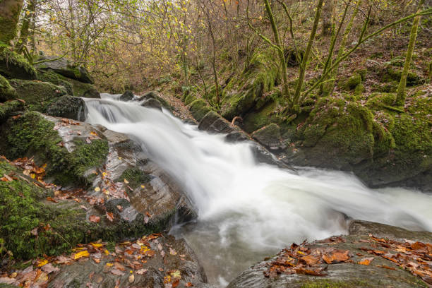 istock Watersmeet in Exmoor National Park 1288262596
