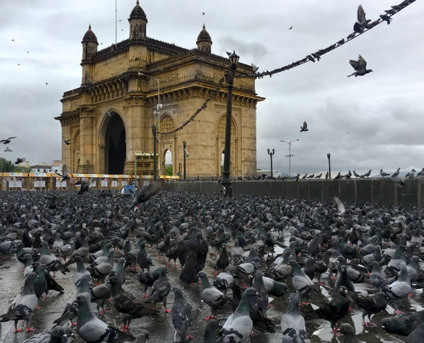istock Gateway of India 1288263739