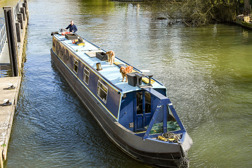 Marlow, England - March 2019: Narrow boat on the River Thames in Marlow. The town has a lock to allow boats to avoid a weir