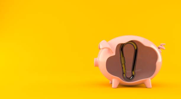 istock Carabiner inside piggy bank 1288264915