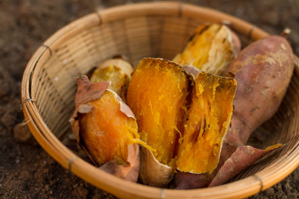 istock Yam sweet potato in basket closeup 1288265629
